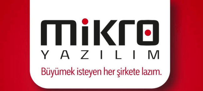 Mikro V17