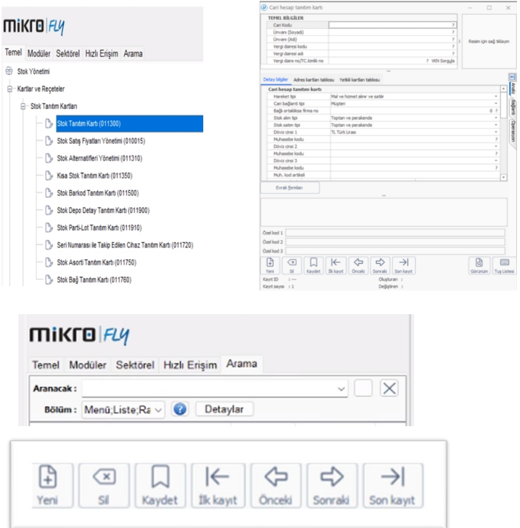 mikro v17 Api